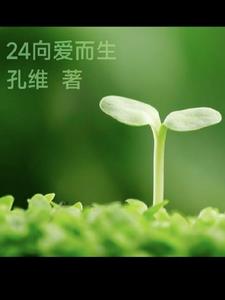 24向爱而生章节列表