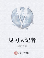 见习大记者章节列表