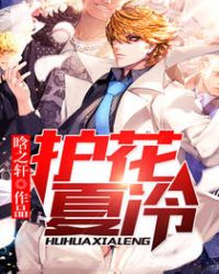 护花夏冷章节列表