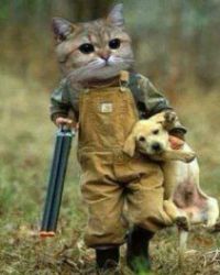 千古奇英章节列表