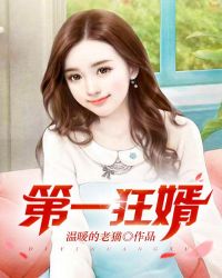 第一狂婿章节列表