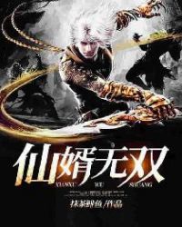 仙婿无双章节列表