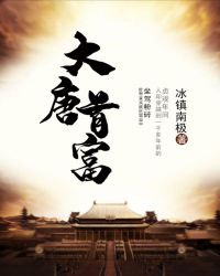 大唐首富章节列表