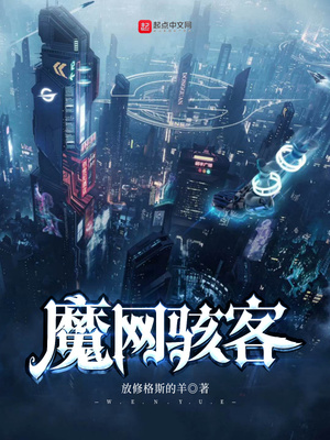 魔网骇客章节列表